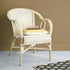 10201-fauteuil_en_rotin_naturel-01.jpg